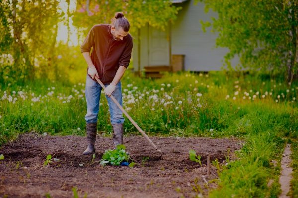what is a garden hoe