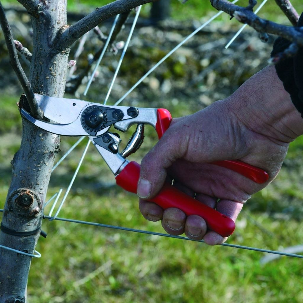 Low-fatigue garden clippers by Felco F7 for precise pruning and cutting
