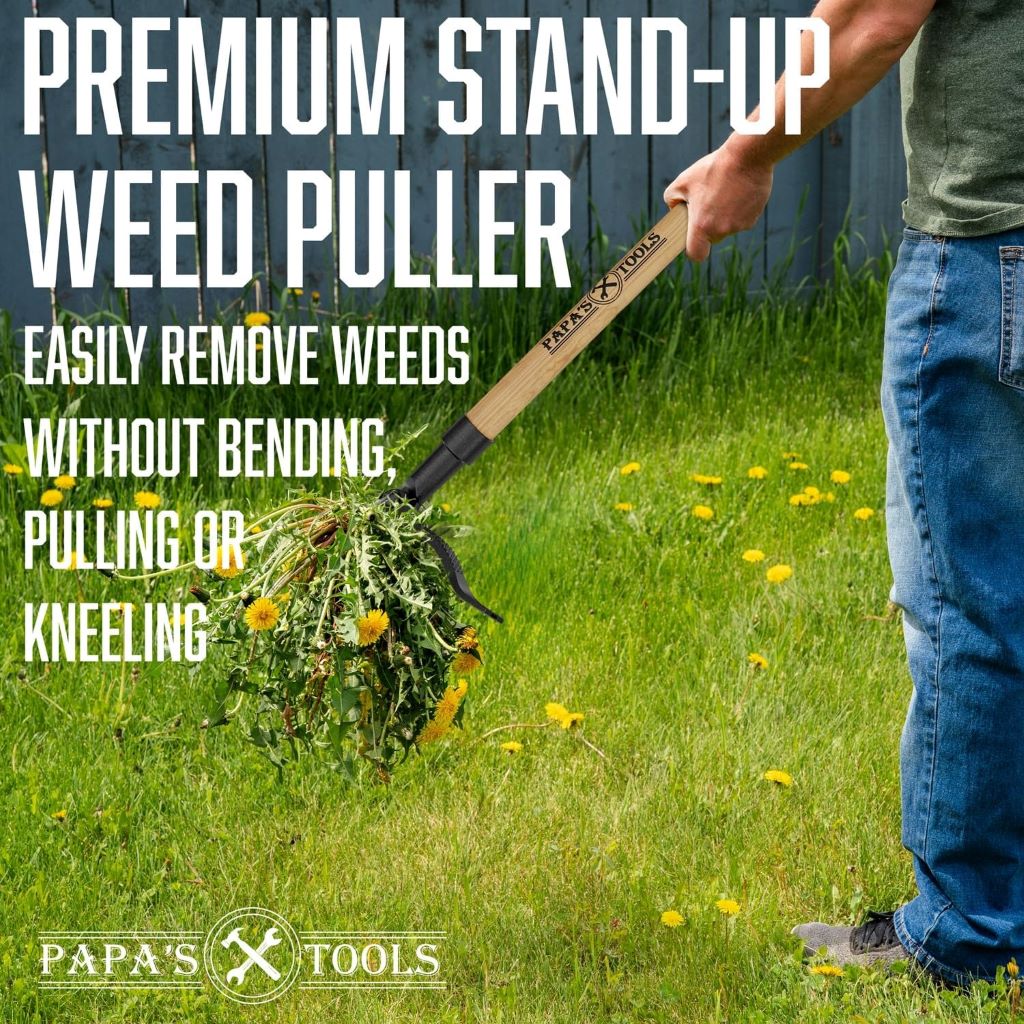 Gardening tool with long wooden handle and 4-claw steel head for effortless weed pulling