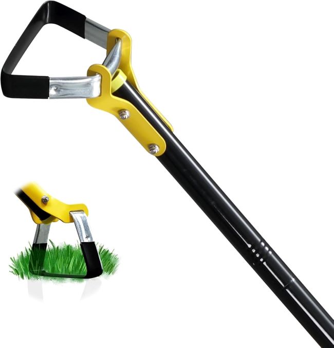 BsBsBest adjustable stirrup hoe with long handle for removing weeds in backyard and vegetable garden.