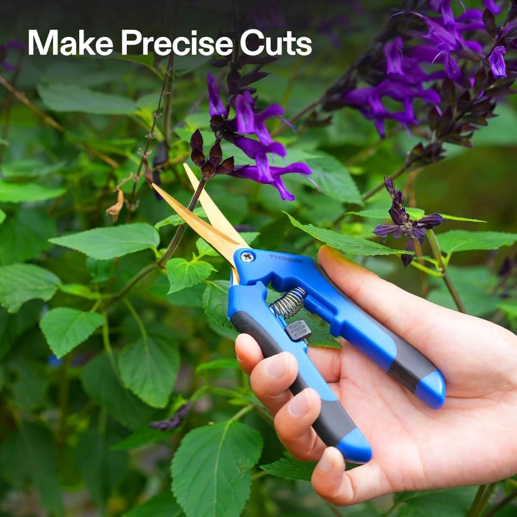 Precision curved pruning scissors, 6.5 inches, durable titanium-coated blades for gardening.