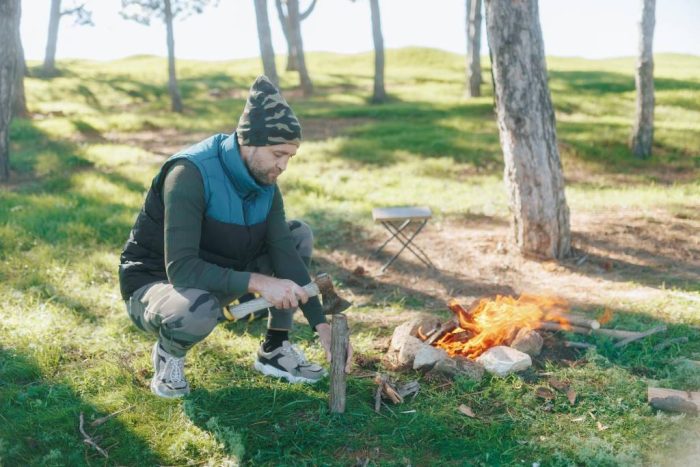 Axe Cutting Wood Near Campfire, Nature and Survival Skills Display