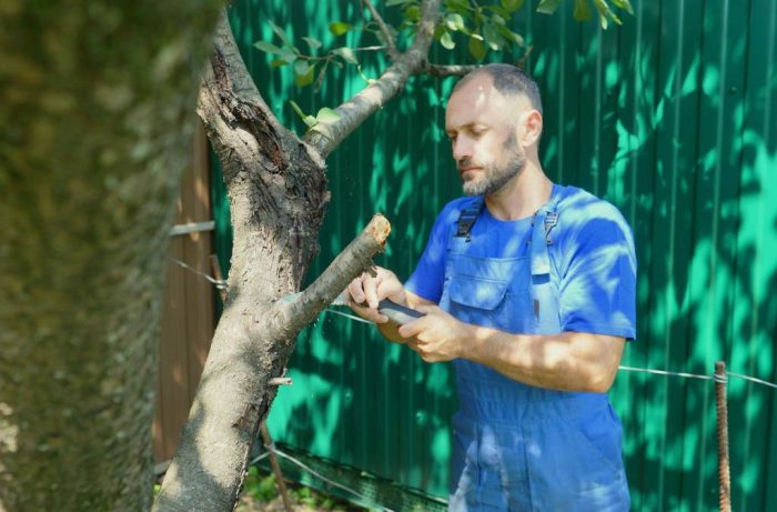 Cut a branch with a saw. Gardening background
