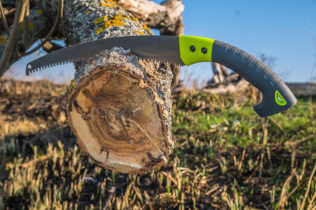 Gardener using pruning saw to make a clean branch cut