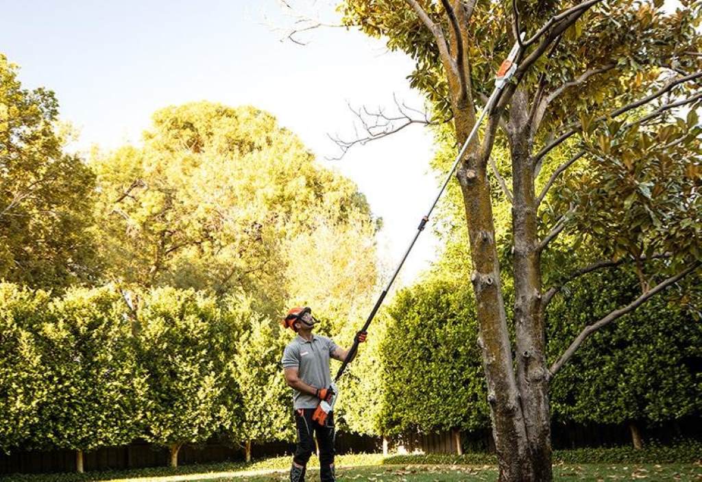 Person using pole saw to trim high tree branches safely