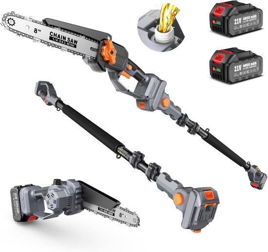 TaskStar 2 in 1 Cordless Pole Saw and Mini Chainsaw