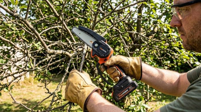 Safety gear for pruning trees with cordless mini chainsaw